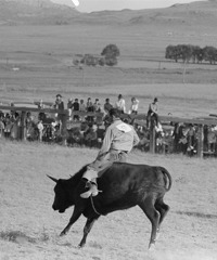 Wildwest ex1
